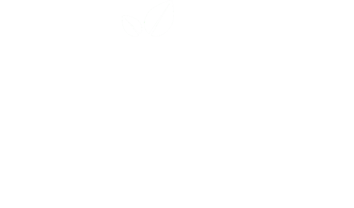 Spring Cleaning Member Sale